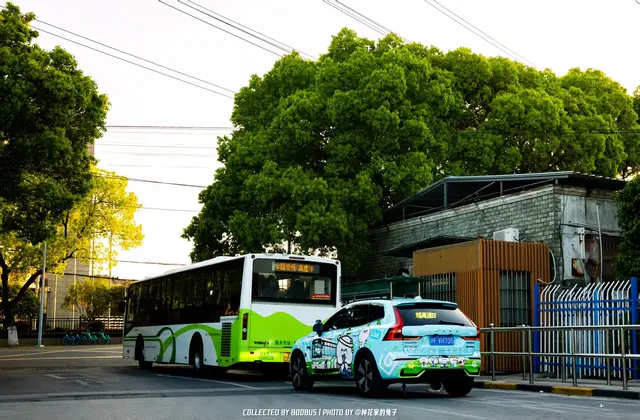 沪F VH705
