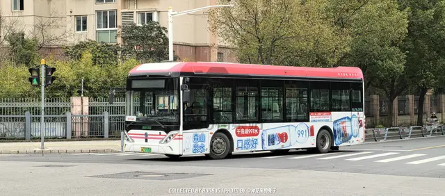 沪A 57376D