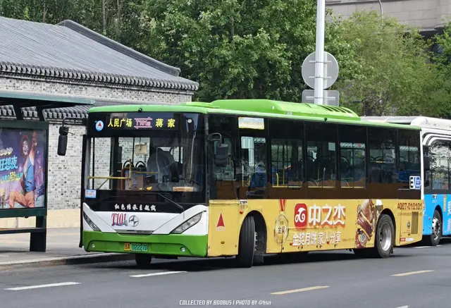 800BUS
