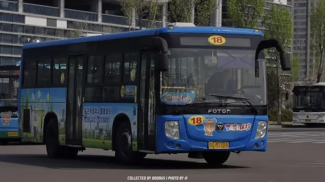 800BUS
