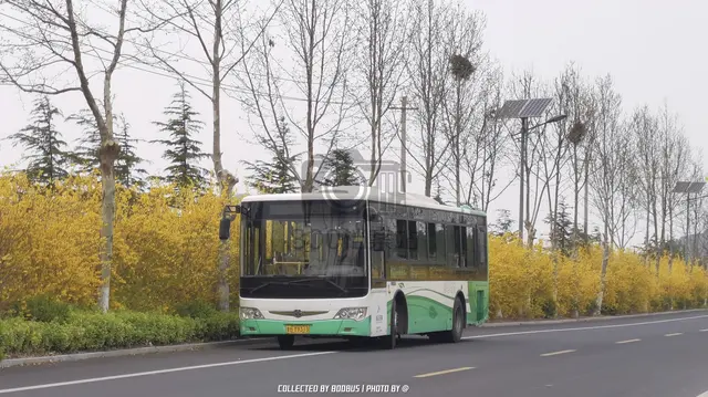 鲁B Y9313