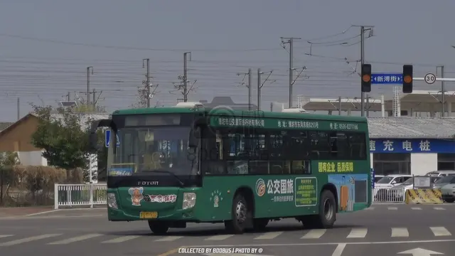800BUS
