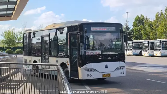 鲁L D5020