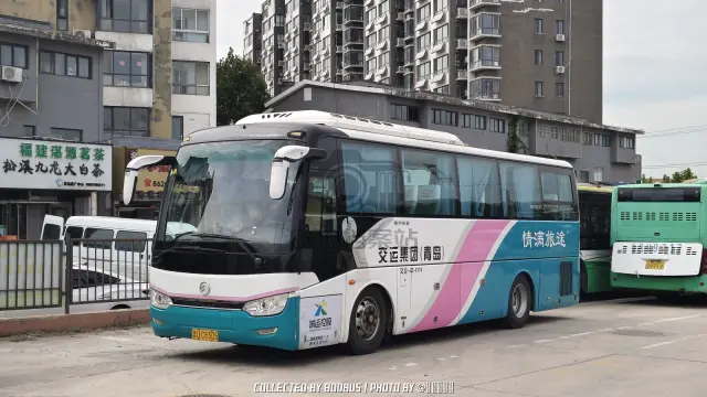 鲁U C8305