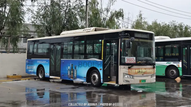 鲁B 17739D