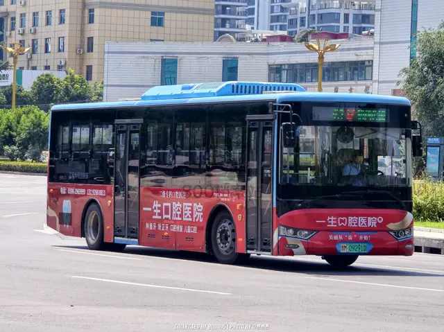 800BUS