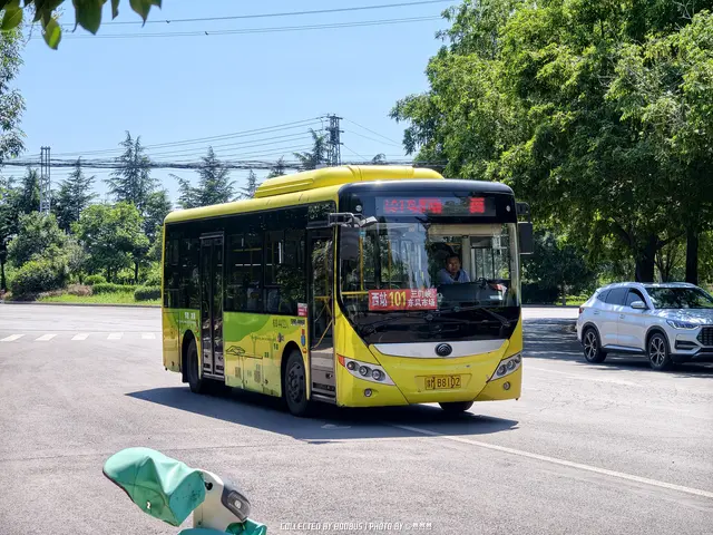 豫M B8102