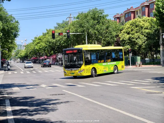 豫M 07869D