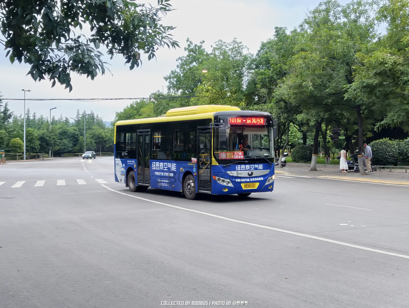 Bus Archive