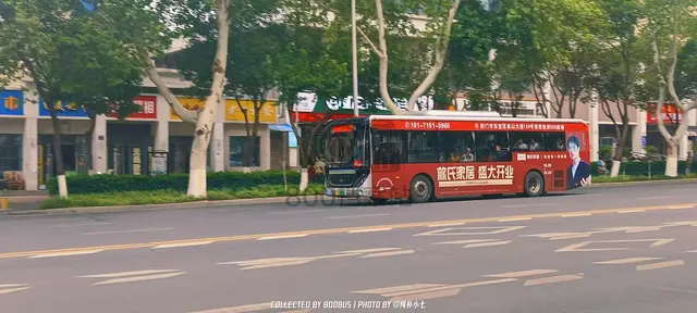 鄂H 28993D