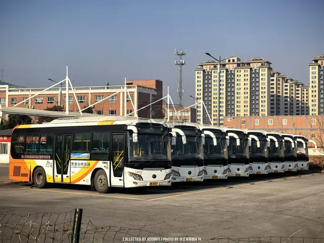 豫M 18557