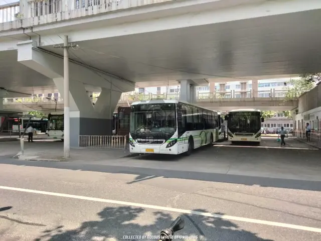 沪E D5386