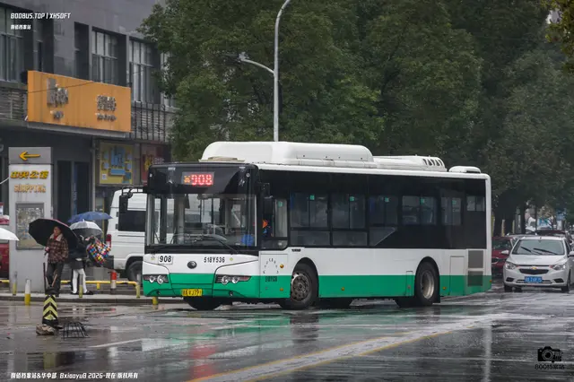 800BUS