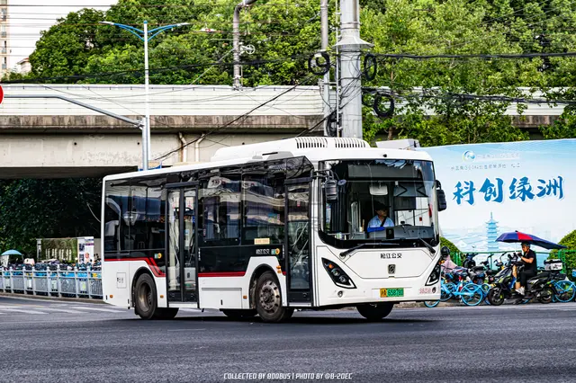 沪A 65878D
