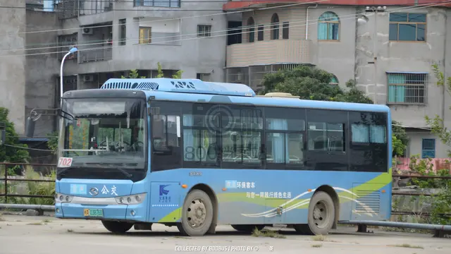 800BUS