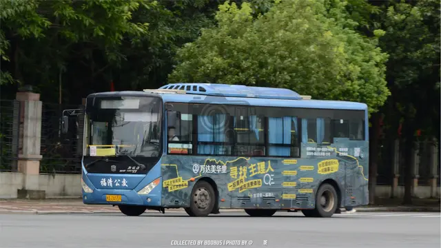 800BUS