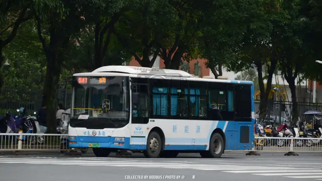 800BUS