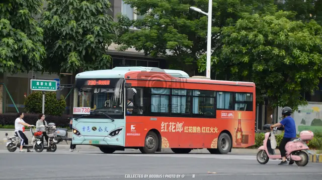 800BUS