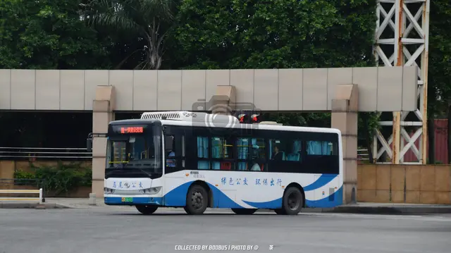 闽A 07355D