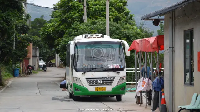 800BUS