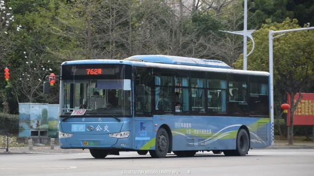 800BUS