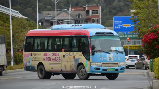 800BUS