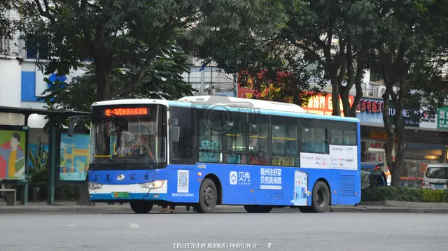 闽A 01988D
