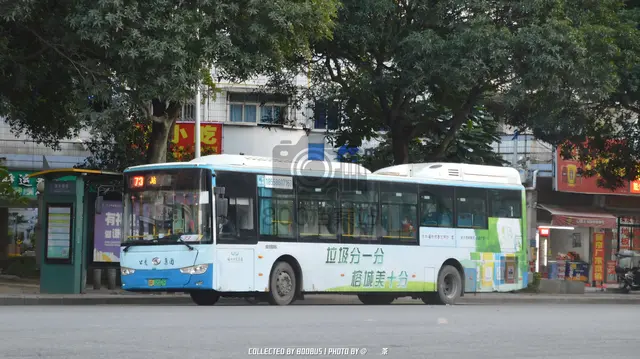 800BUS