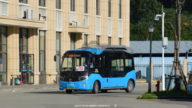 800BUS