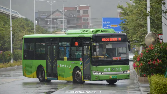 800BUS