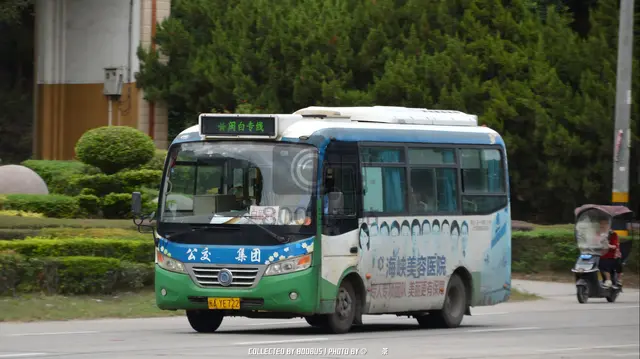 800BUS