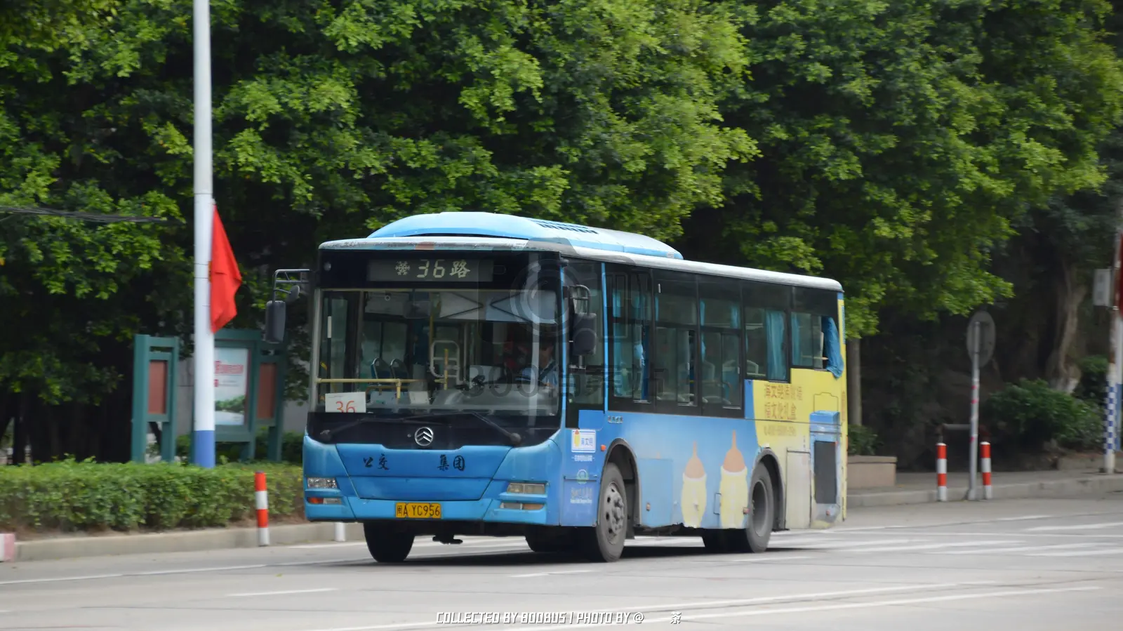 Bus Archive