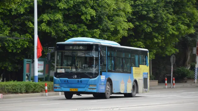 800BUS