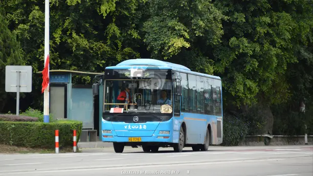 800BUS