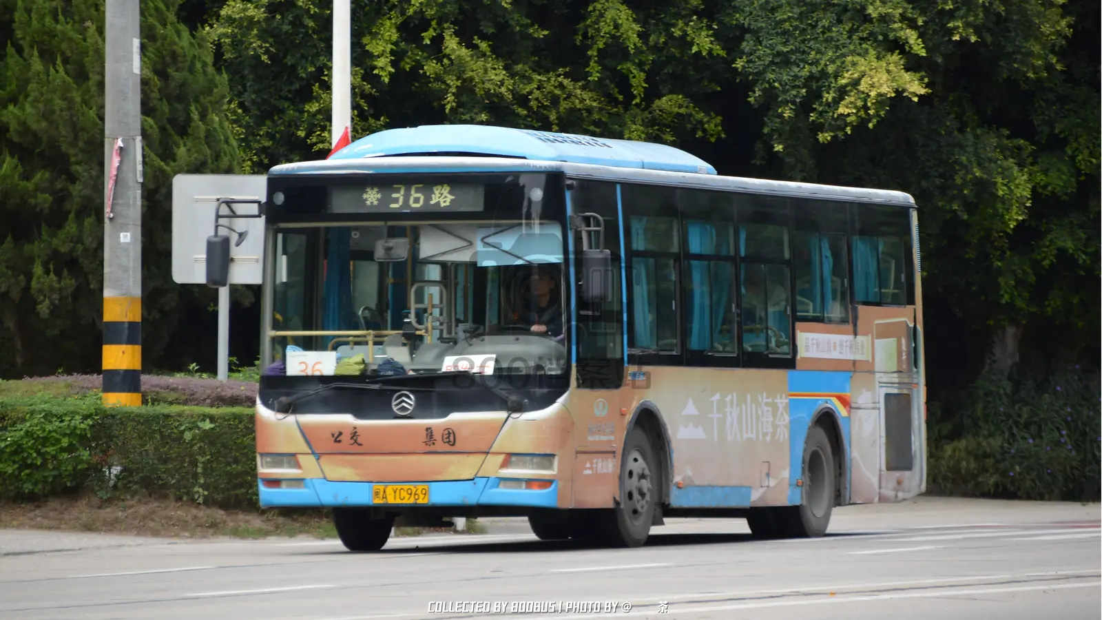 Bus Archive