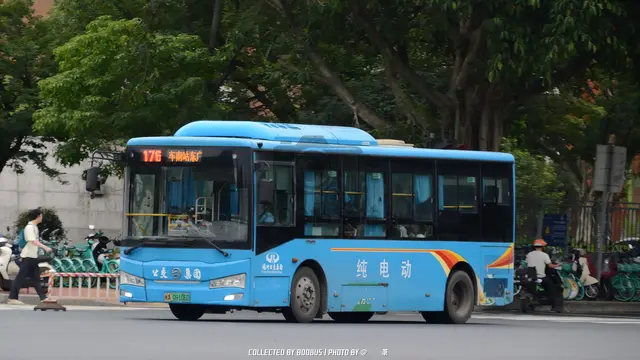 800BUS
