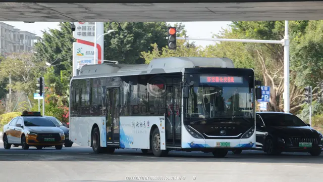 闽A 00060D