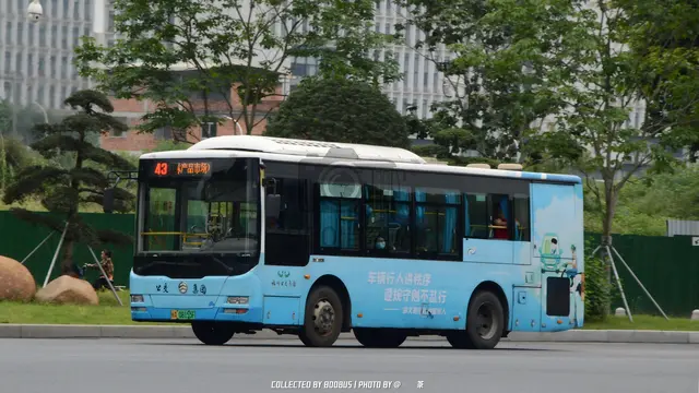 闽A 08155F