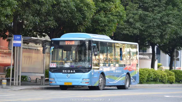 800BUS