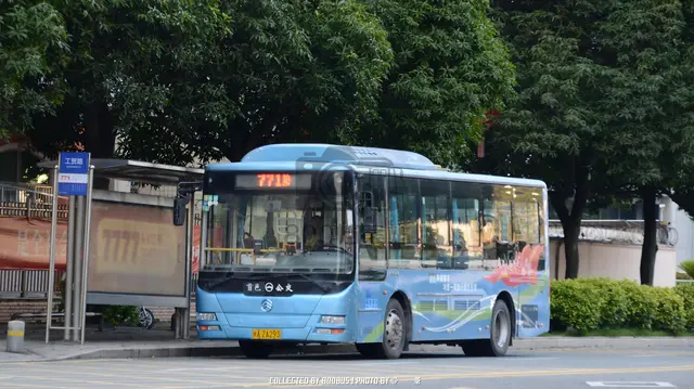 800BUS