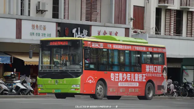 800BUS