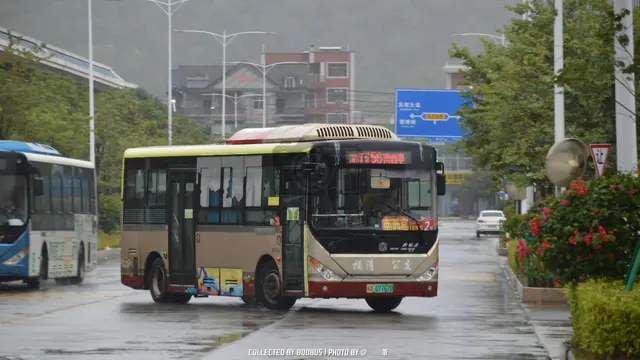 闽A 07767D