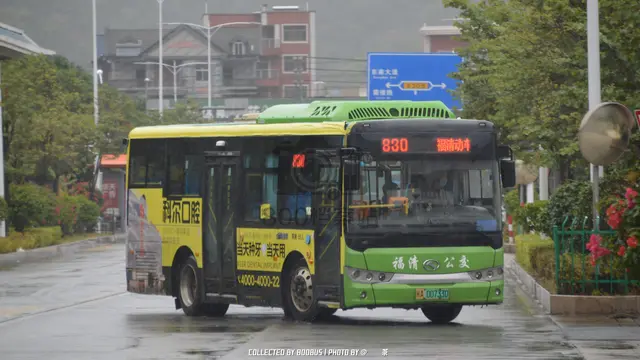 800BUS