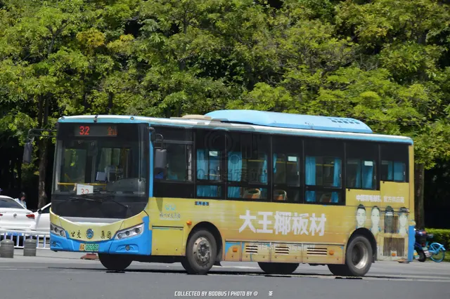 闽A 06206D