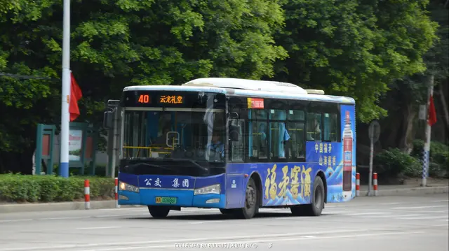 800BUS