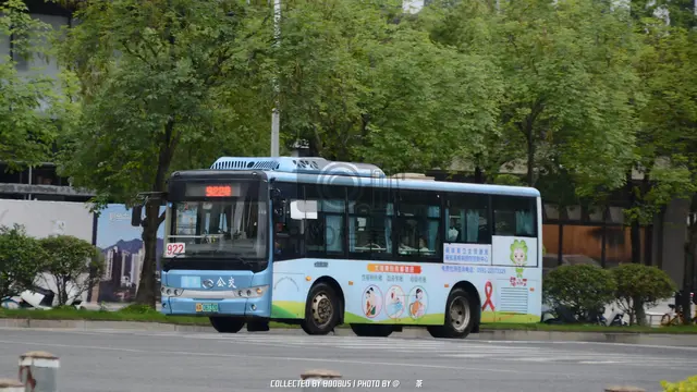 闽A 06733D