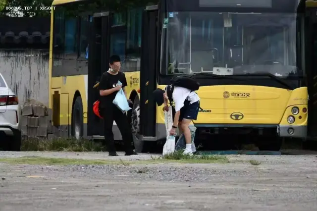 800BUS