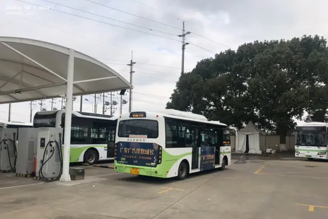 沪DQ1008