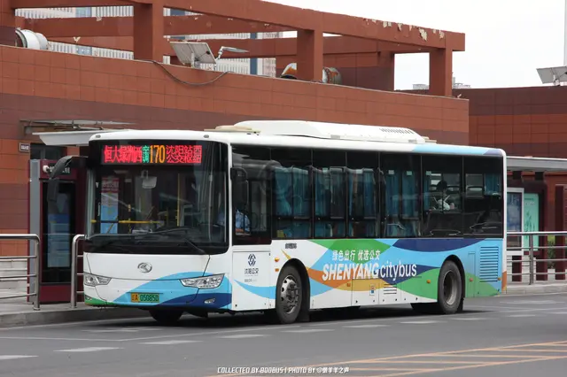 辽A 05085D