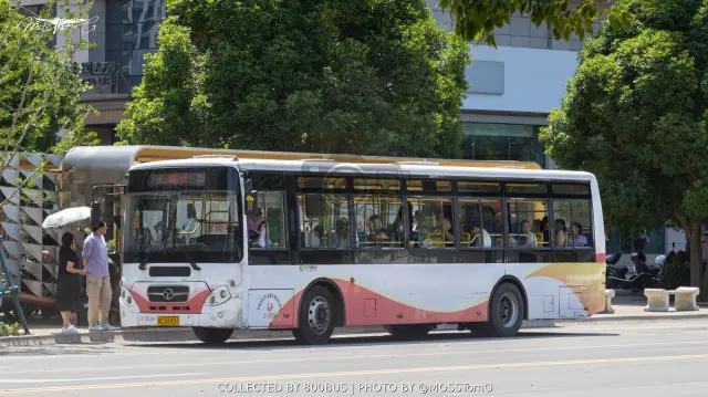 陕C 56901